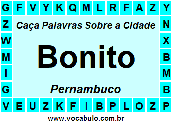 Caça Palavras Sobre a Cidade Bonito do Estado Pernambuco