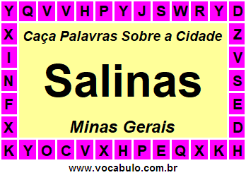 Caça Palavras Sobre a Cidade Salinas do Estado Minas Gerais